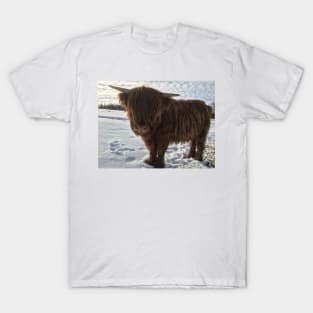 Scottish Highland Cattle Calf 1942 T-Shirt